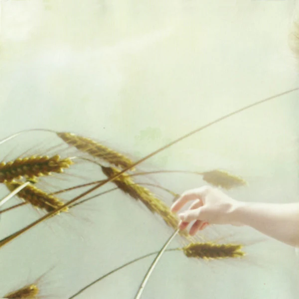 ديانا حداد - عنيدة (CD, Album) - Image 2