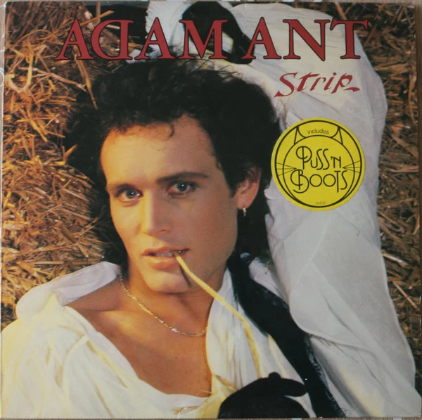 Adam Ant - Strip (LP, Album) - Image 4