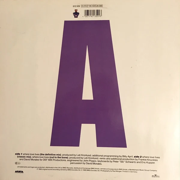 Alison Limerick - Where Love Lives (12", Maxi) - Image 2