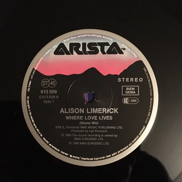 Alison Limerick - Where Love Lives (12", Maxi) - Image 3