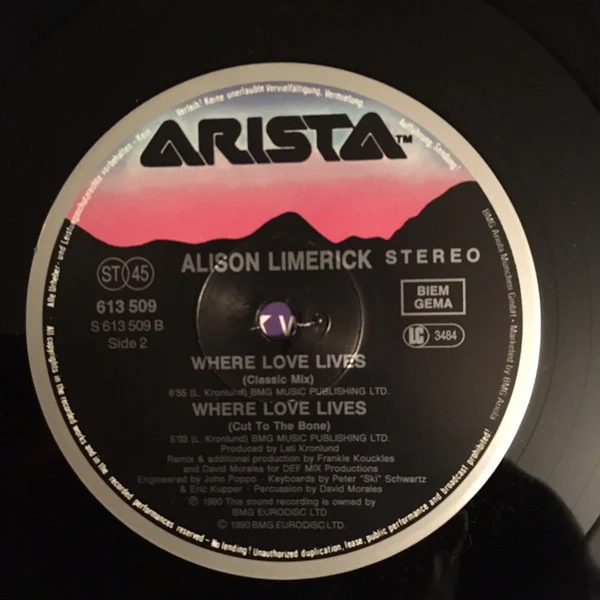 Alison Limerick - Where Love Lives (12", Maxi) - Image 4