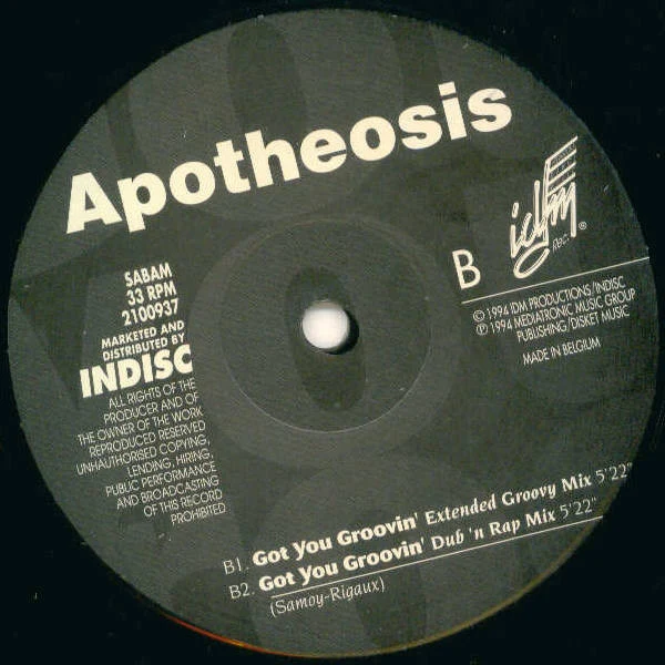 Apotheosis - Got You Groovin' (12") - Image 4
