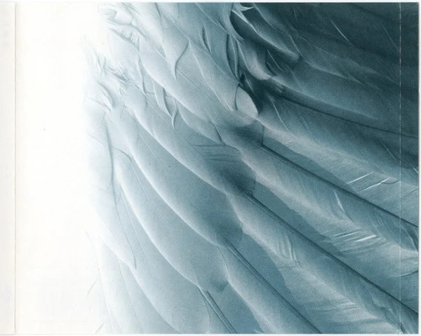 Ayla - Nirwana (CD, Album) - Image 5