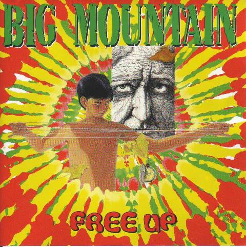 Big Mountain - Free Up (CD, Album)