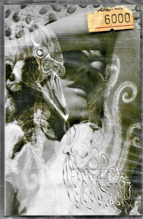 Björk - Vespertine (Cass, Album)