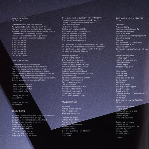 Bleachin' - Everyone Loves You, Everything's Free (CD, Album) - Image 3