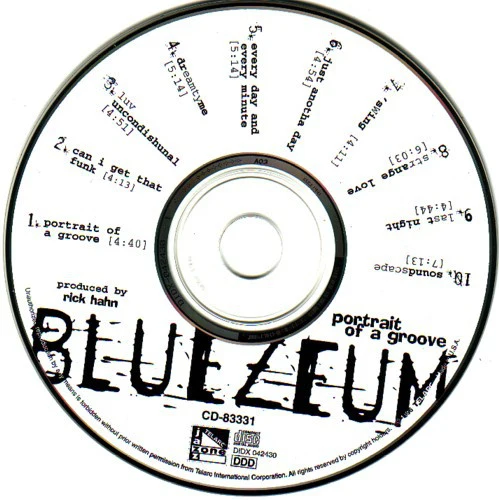 Bluezeum - Portrait Of A Groove (CD, Album) - Image 3