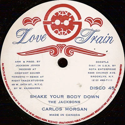 Carlos Morgan - Shake Your Body Down (12") - Image 2