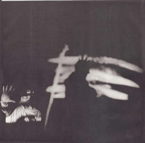 Fad Gadget - Under The Flag (LP, Album) - Image 3
