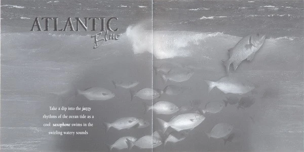 Fred Story - Natural Dreams - Music For Relaxation: Atlantic Blue (CD, Album) - Image 4