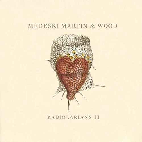 Medeski Martin & Wood - Radiolarians II (CD, Album)