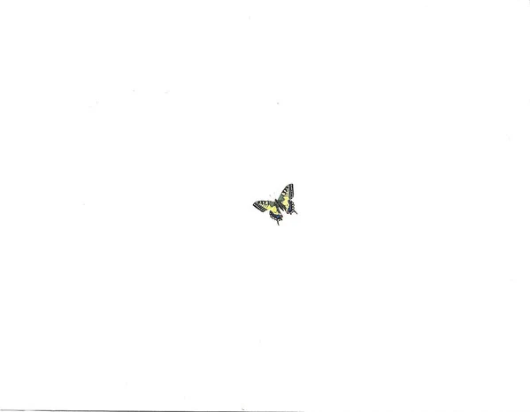 Scarlet (2) - Chemistry (CD, Album) - Image 5