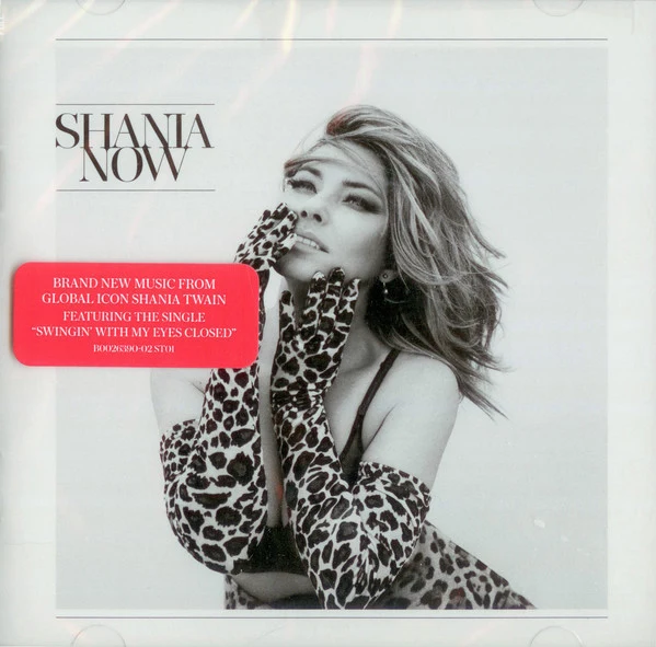 Shania Twain - Now (CD, Album)