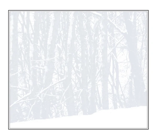 Sting - If On A Winter's Night... (CD, Album, Gat) - Image 4