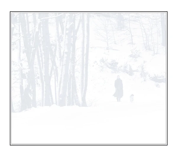 Sting - If On A Winter's Night... (CD, Album, Gat) - Image 5