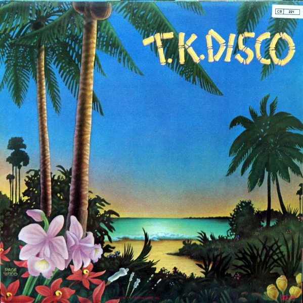 T-Connection - At Midnight (12") - Image 3