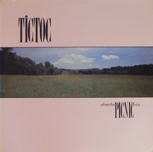 Tictoc - Where The Picnic Was (LP, Album)