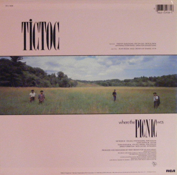 Tictoc - Where The Picnic Was (LP, Album) - Image 2