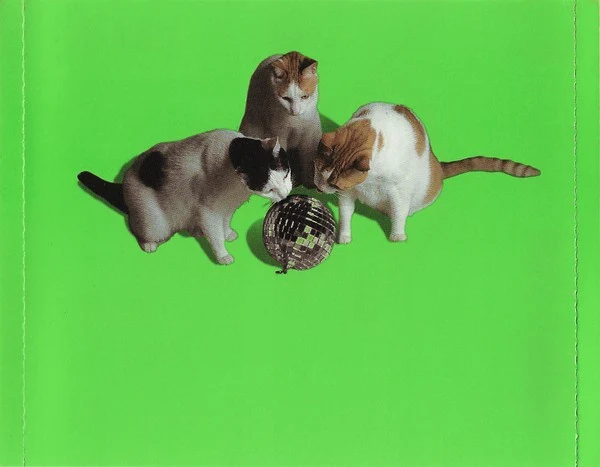 Various - Twist This Pussy 2003 (CD, Comp, Mixed) - Image 4